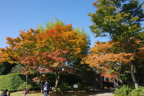 日本庭園にて