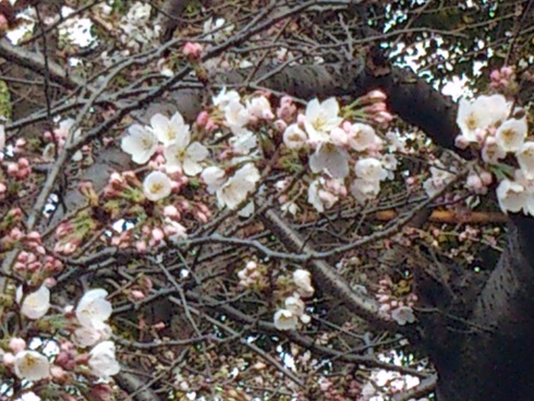 DSC_2519.jpg