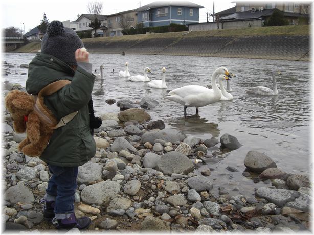 パンをあげるよ～