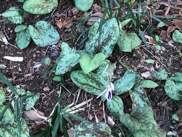 rblog-20190320170809-06.jpg