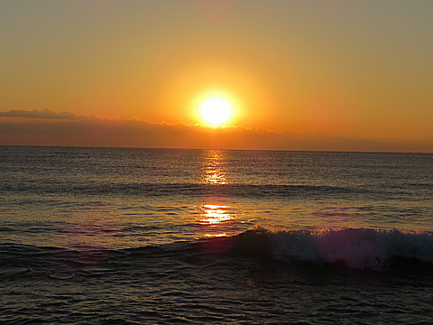 IMG_0890.jpg