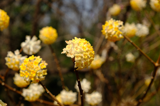 2016 03 31_2272.jpg