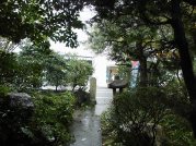 CIMG3961 - コピー.JPG