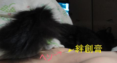 DSC01674.JPG