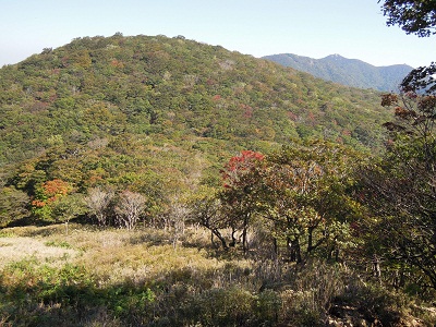 DSCN6214s.jpg
