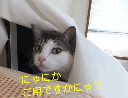 20120925_2.jpg