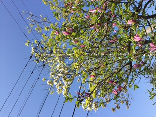 IMG_0680.JPG
