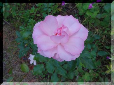 DSC01411.JPG