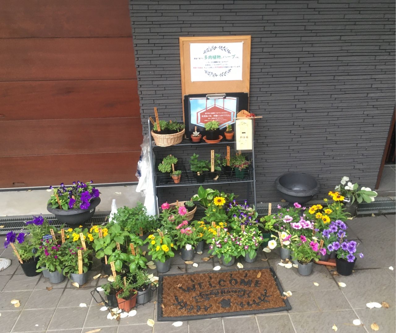 ここは無人のお花屋さん 獅子座のケンタウロス 楽天ブログ