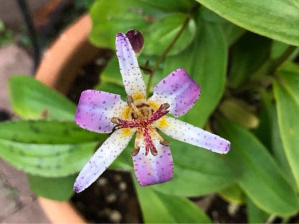rblog-20181203160949-00.jpg
