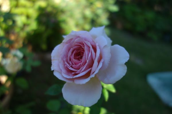 rblog-20180722194400-10.jpg