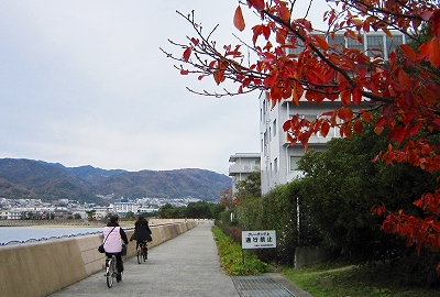 愛護パトロール