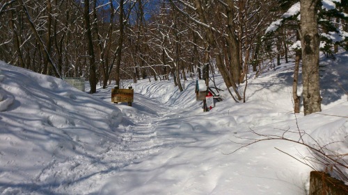 s-20140201泉ヶ岳登山口到着.jpg