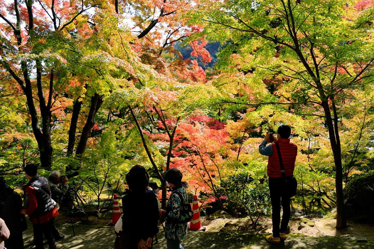 １０ ３１大窪寺紅葉 きんちゃん７２７日記 楽天ブログ