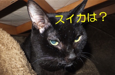 20121127_10.jpg