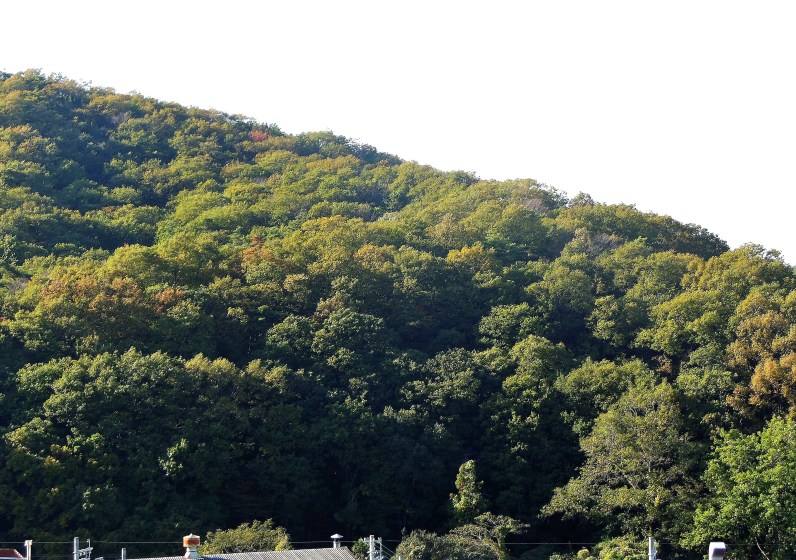 登山口
