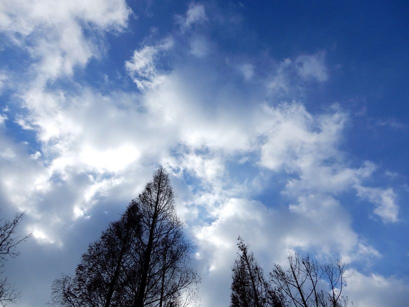 空3