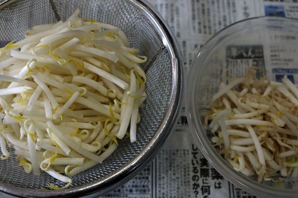 もやしのひげ 日常茶飯事 楽天ブログ