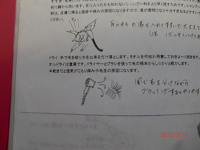 032-2.jpg