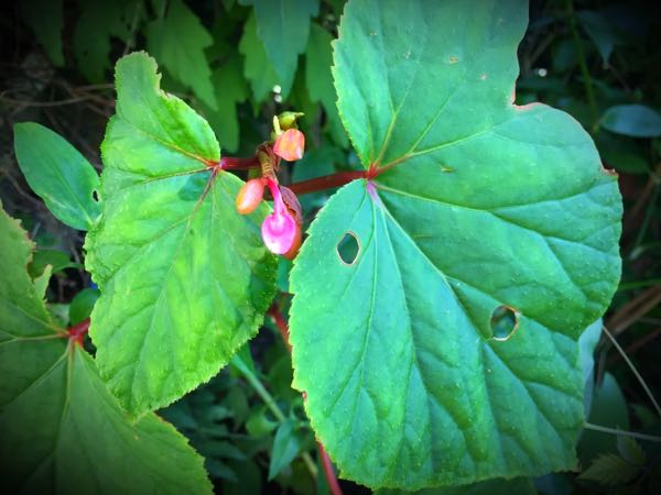 rblog-20160825215809-04.jpg