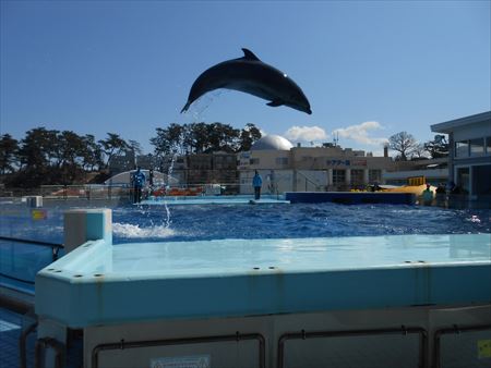 越前松島水族館