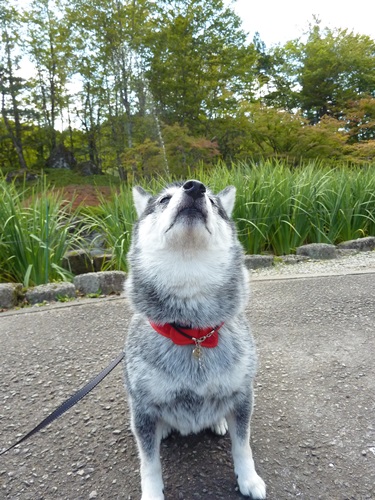 ハナに降ってきた＾＾