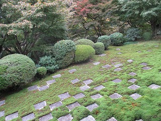 IMG_2731ss.jpg