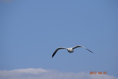 DSC_0116.jpg
