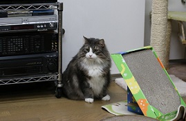IMG_1721-2.jpg