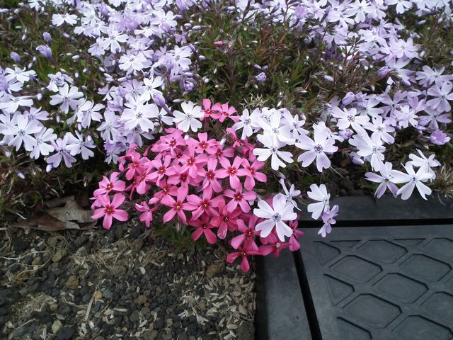DSCF3844.JPG