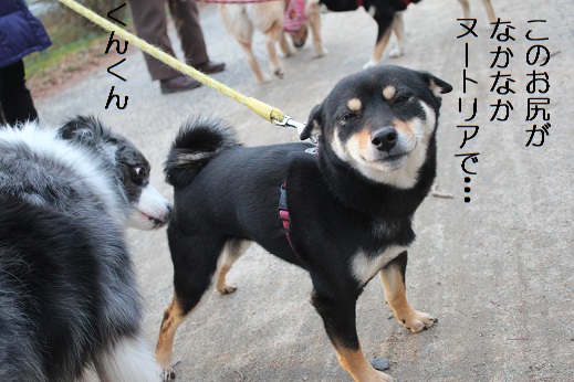 くんくん