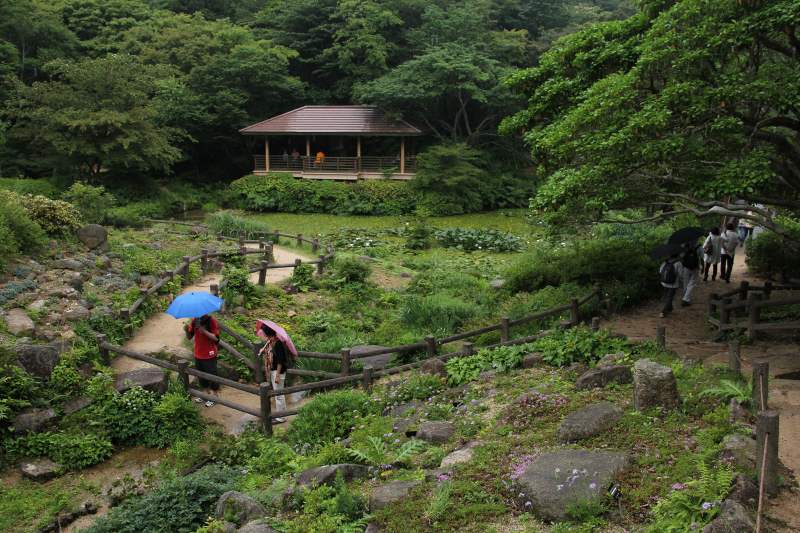六甲山高山植物園_06.jpg
