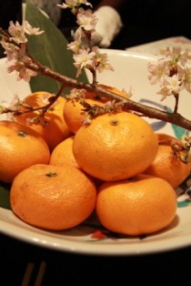 tutumikan2