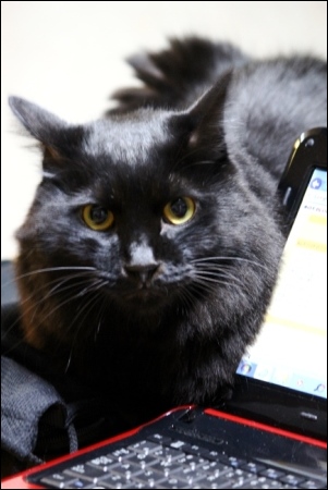 東京旅行-130 竹千代くん-1 13.10.5