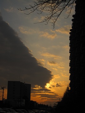IMG_0750.JPG