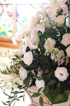 DSC00531 - コピー.JPG