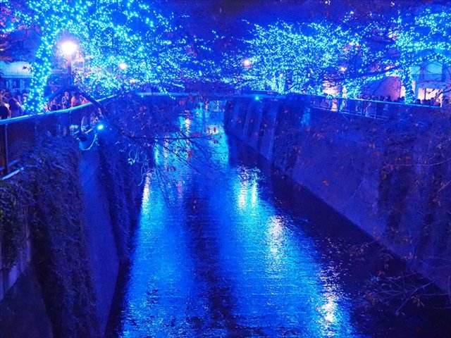 141674728354915697179_naka01[1]_R.jpg
