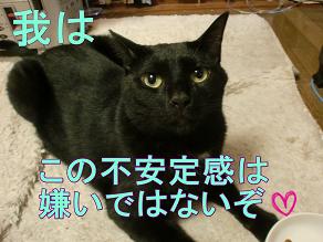 鈴嫌いではない.JPG