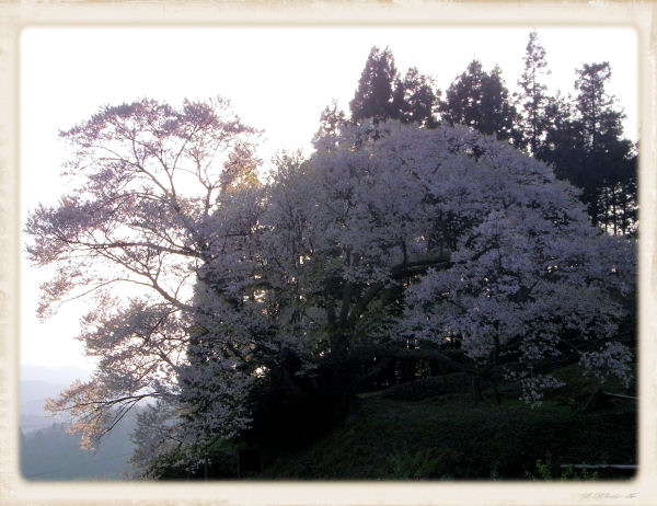 buturyujiyanen2
