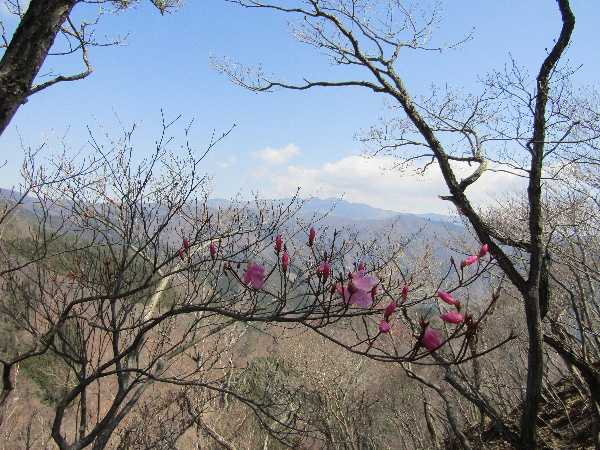 登山 正則の山行記録4 楽天ブログ 登山 正則の山行記録4 楽天ブログ