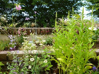 P1200845ss.jpg