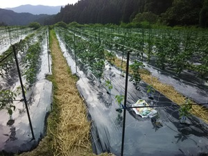 DSC_0360.JPG