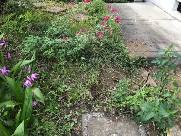 rblog-20180429182853-09.jpg