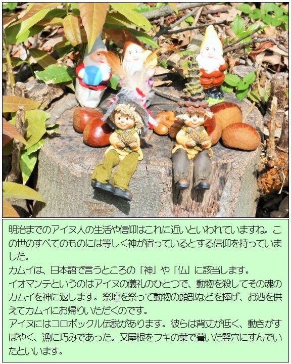 明治までのアイヌ人の生活や信仰はこれに近いといわれていますね。この世のすべてのものには等しく神が宿っているとする信仰を持っており、神のような存在に対してアイヌ語で「カムイ」と呼んでいます。カムイは、日本語で言うところの「神」や「仏」に該当します。イオマンテというのはアイヌの儀礼のひとつで、動物を殺してその魂のカムイを神に返します。祭壇を祭って動物の頭部などを捧げ、お酒を供えてカムイにお帰りいただくのです。アイヌにはコロボックル伝説があります。彼らは背丈が低く、動きがすばやく、漁に巧みであった。又屋根をフキの葉で葺いた竪穴にすんでいたといいます。