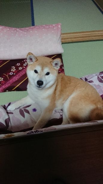 rblog-20181209154415-01.jpg