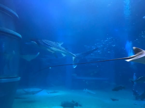 rblog-20180917215908-03.jpg