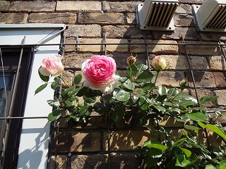 DSC00919.jpg