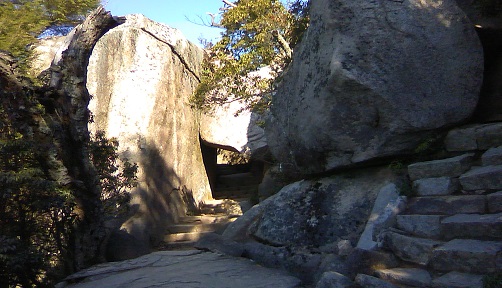 TS3P0217.JPG
