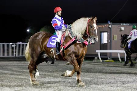 Welcome to Horselover's World:ナリタボブサップ