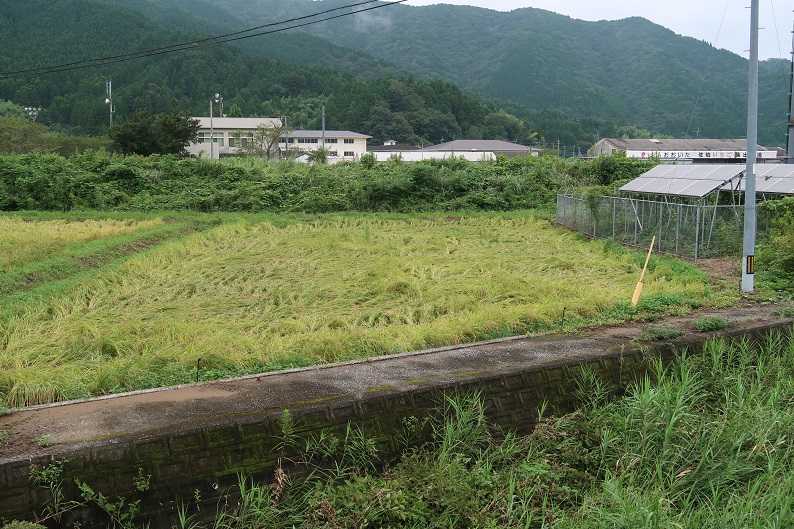 14ページ目の記事一覧 梅林庵 楽天ブログ 14ページ目の記事一覧 梅林庵 楽天ブログ